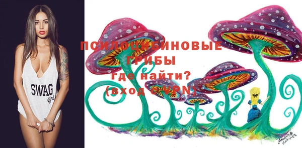 a pvp Алексеевка
