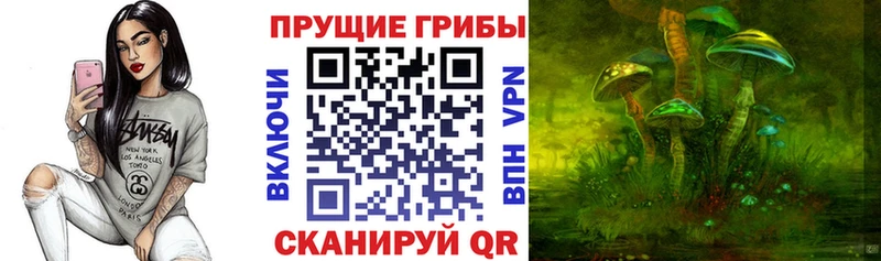 наркота  Асино  Галлюциногенные грибы MAGIC MUSHROOMS 