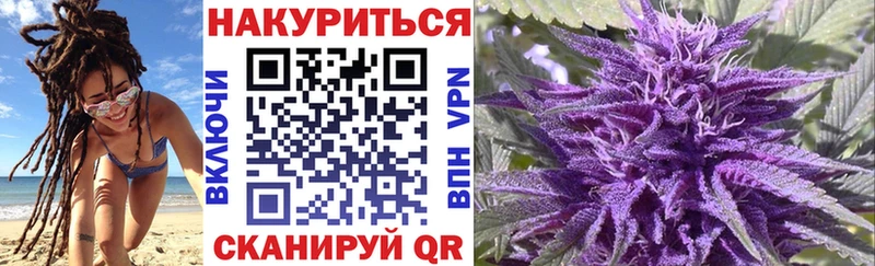 Канабис White Widow  как найти закладки  hydra рабочий сайт  Асино 